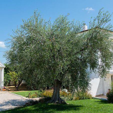 B&B Casale Savini Ортона Екстер'єр фото